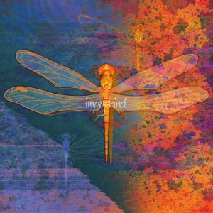 flaming-dragonfly_art