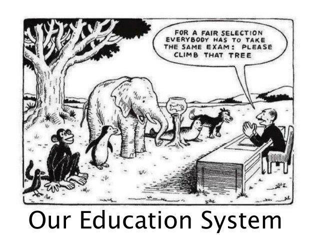 Naš sistem izobraževanja